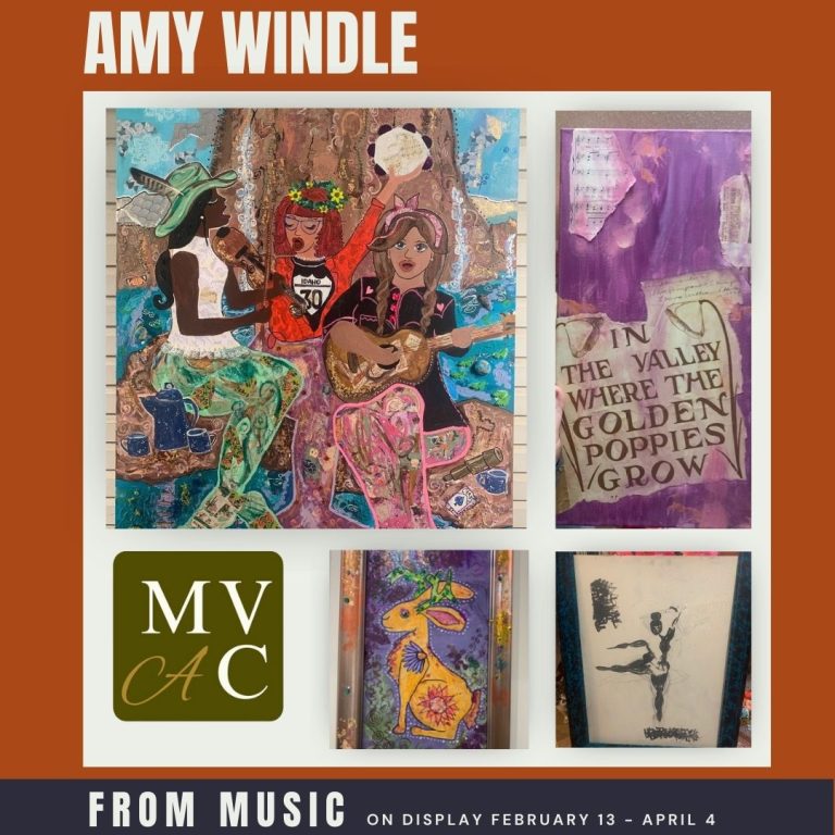 Amy Windle